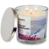Sonoma Goods For Life® 14-oz. Ocean Wild Flowers Candle Jar -home decoration 4227937
