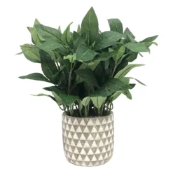 Sonoma Goods For Life® Sonoma Faux House Plant