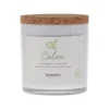 Sonoma Goods For Life® Spa Calm 3-Wick Candle Jar -home decoration 5188045