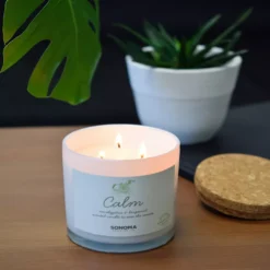 Sonoma Goods For Life® Spa Calm 3-Wick Candle Jar -home decoration 5188045 ALT