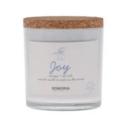 Sonoma Goods For Life® Spa Joy 3-Wick Candle Jar