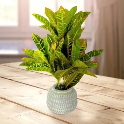 Sonoma Goods For Life® Artificial Potted Greenery Floor Decor -home decoration 5583143 ALT2