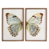 Sonoma Goods For Life® Butterfly Framed Wall Art 2-piece Set 1 Sonoma Goods For Life® Butterfly Framed Wall Art 2-piece Set -home decoration 5636627