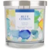 Sonoma Goods For Life® Blue Citron 14-oz. Candle Jar -home decoration 5660126