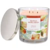 Sonoma Goods For Life® Mango Margarita 14-oz. Candle Jar -home decoration 5877234