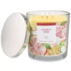 Sonoma Goods For Life® Citrus Fizz 14-oz. Candle Jar -home decoration 5877284