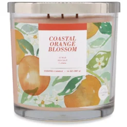 Sonoma Goods For Life® Coastal Orange Blossom 14-oz. Candle Jar -home decoration 5877290 ALT2