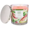 Sonoma Goods For Life® Guava Berry Spritz 14-oz. Candle Jar -home decoration 5877295