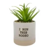 Sonoma Goods For Life® I Run This Rodeo Artificial Potted Plant Table Decor -home decoration 5896121
