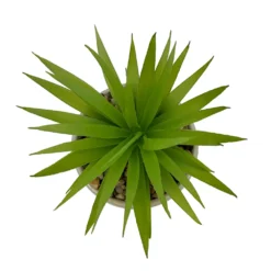 Sonoma Goods For Life® I Run This Rodeo Artificial Potted Plant Table Decor -home decoration 5896121 ALT2