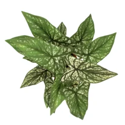 Sonoma Goods For Life® Greenery In Terracotta Pot -home decoration 5897083 ALT2