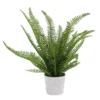 Sonoma Goods For Life® Faux Fern In Ceramic Pot -home decoration 5897085