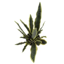 Sonoma Goods For Life® Faux Snake Plant In Midcentry Modern Pot -home decoration 5897091 ALT2