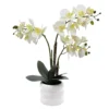 Sonoma Goods For Life® Faux Orchid In Ceramic Pot Floor Decor -home decoration 5902386