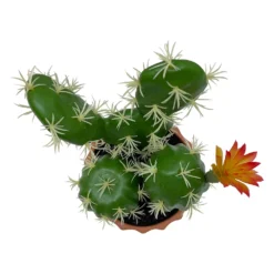 Sonoma Goods For Life® Faux Flowering Cactus Table Decor -home decoration 5902636 ALT2