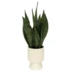 Sonoma Goods For Life® Faux Snake Plant In Ceramic Vessel -home decoration 5902774