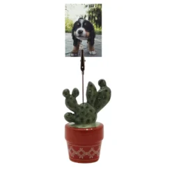 Sonoma Goods For Life® Cactus Clip Frame -home decoration 5902777 ALT2