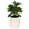 Sonoma Goods For Life® Artificial Greenery In Ceramic Jar -home decoration 5902872