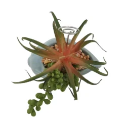 Sonoma Goods For Life® Succulent Artificial Greenery Photo Clip -home decoration 5903701 ALT4
