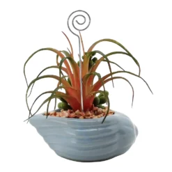 Sonoma Goods For Life® Succulent Artificial Greenery Photo Clip -home decoration 5903701 ALT5