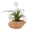 Sonoma Goods For Life® Air Plant Artificial Greenery Photo Clip -home decoration 5903702