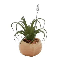 Sonoma Goods For Life® Air Plant Artificial Greenery Photo Clip -home decoration 5903702 ALT