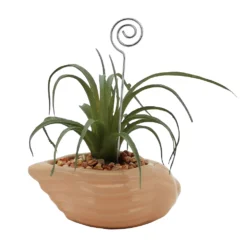 Sonoma Goods For Life® Air Plant Artificial Greenery Photo Clip -home decoration 5903702 ALT3