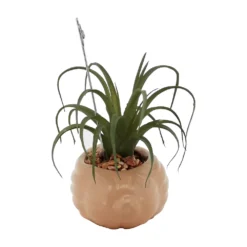 Sonoma Goods For Life® Air Plant Artificial Greenery Photo Clip -home decoration 5903702 ALT4