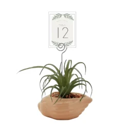 Sonoma Goods For Life® Air Plant Artificial Greenery Photo Clip -home decoration 5903702 ALT5