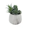 Sonoma Goods For Life® Artificial Succulent Plant Table Decor -home decoration 5904661