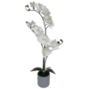 Sonoma Goods For Life® Orchid Artificial Plant Floor Decor -home decoration 5904703