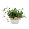 Sonoma Goods For Life® Artificial Greenery In Cement Pot -home decoration 5904745