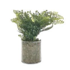 Sonoma Goods For Life® Artificial Fern In Glass Pot -home decoration 5904746 ALT2