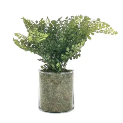 Sonoma Goods For Life® Artificial Fern In Glass Pot -home decoration 5904746 ALT3