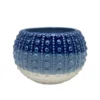 Sonoma Goods For Life® Outdoor Sea Urchin Ombre Stoneware Planter Garden Decor -home decoration 5905814