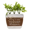 Sonoma Goods For Life® Artificial Botanical Plant Caption Box 1 Sonoma Goods For Life® Artificial Botanical Plant Caption Box -home decoration 5972760