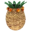 Sonoma Goods For Life® Pineapple Planter Floor Decor -home decoration 5993087