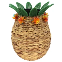 Sonoma Goods For Life® Pineapple Planter Floor Decor