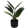 Sonoma Goods For Life® Banana Leaf Plant In Ceramic Pot 2 Sonoma Goods For Life® Banana Leaf Plant In Ceramic Pot -home decoration 6004226