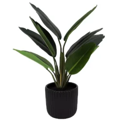 Sonoma Goods For Life® Banana Leaf Plant In Ceramic Pot